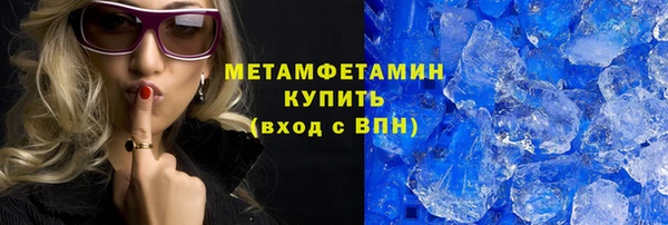 прущие грибы Балабаново