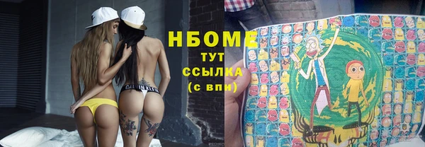 прущие грибы Балабаново