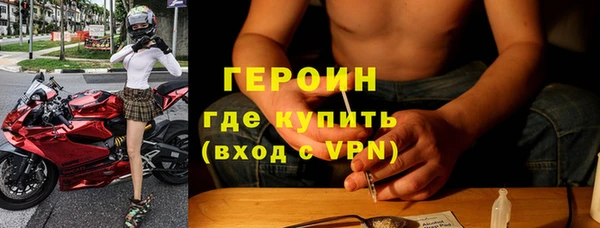прущие грибы Балабаново