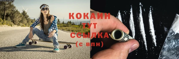 прущие грибы Балабаново