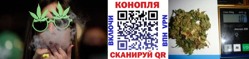 Каннабис планчик  mega зеркало  Чудово 
